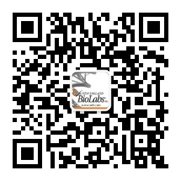 CN-QRcode