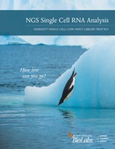NEBNext Single Cell Analysis