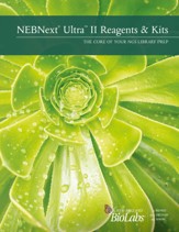 NEBNext Ultra II Brochure