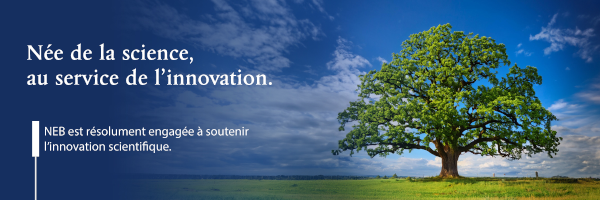 NEB Startup Booster