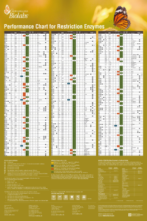 NEB_Buffer_chart