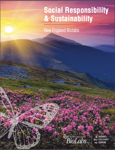 Corporate Social Responsibility & Sustainability