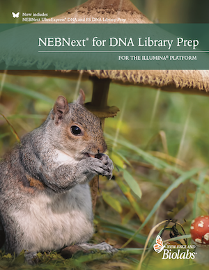 NEBNext DNA Illumina Brochure