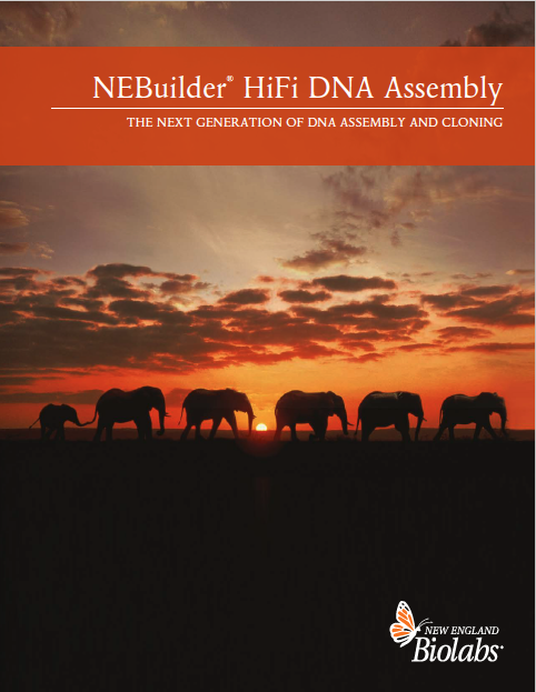 NEBuilder Brochure