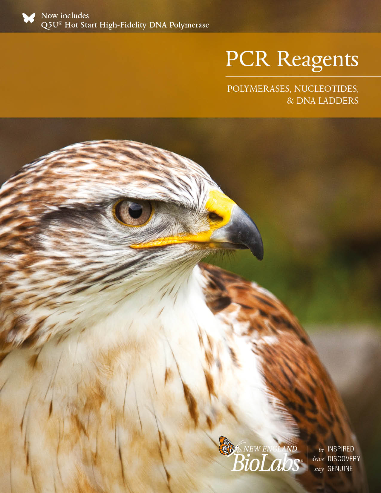 PCR Reagent Brochure