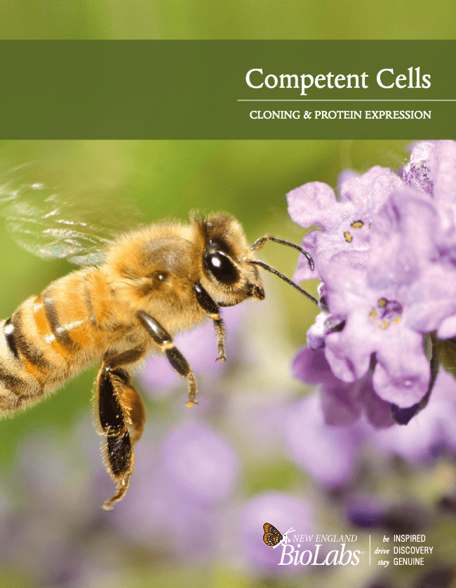 Competent Cells Brochure