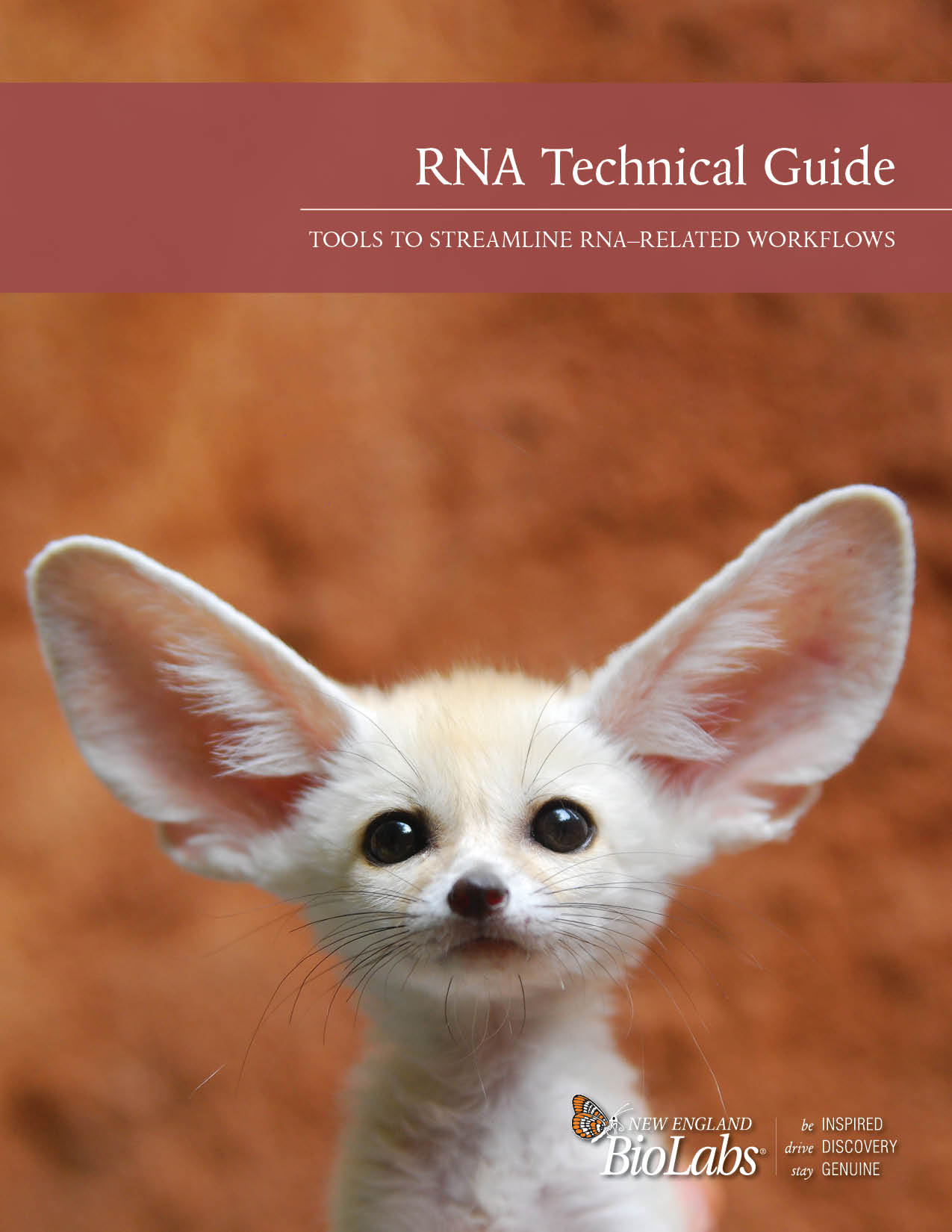 NEB RNA Technical Guide