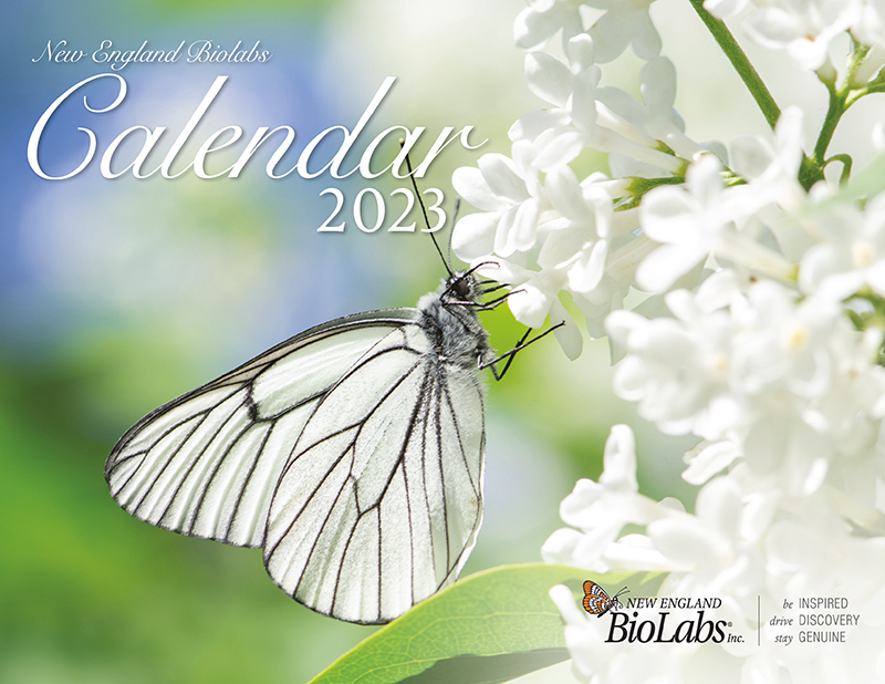 NEB photo calendar