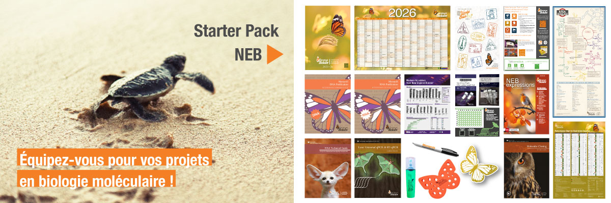 Starter Pack