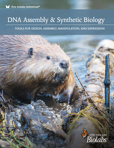 DNA Assembly and Synthetic Biology Brochure