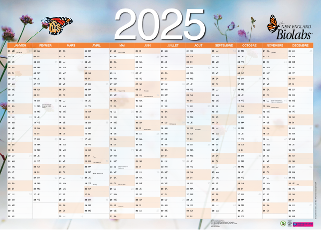 NEB Planner 2024