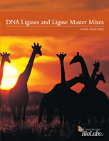 DNA Ligase Trifold
