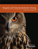 Reagents/Tools for Mol. Cloning Brochure