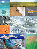 2015-2016 Catalog & Technical Reference