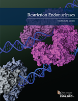 Restriction Endonucleases Technical Guide