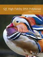 Q5® High-Fidelity DNA Polymerase Trifold