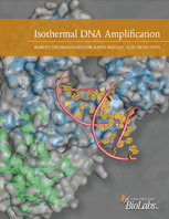 Isothermal Amplification Trifold