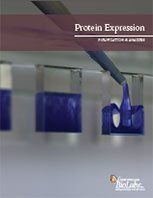 Protein Expression & Purification Brochure