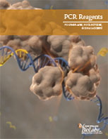PCR Brochure