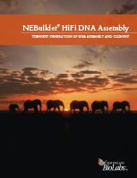 NEBuilder® HiFi DNA Assembly Bifold