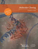Molecular Cloning Technical Guide